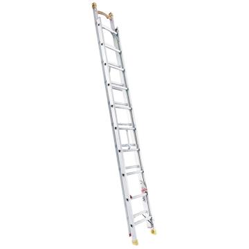 Raxwell 铝合金伸缩梯，2.78~4m 150kg，RMLE0001