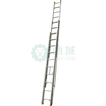 郑兴安 铝合金单面三联梯，伸展长度(mm):10000，LGET-100