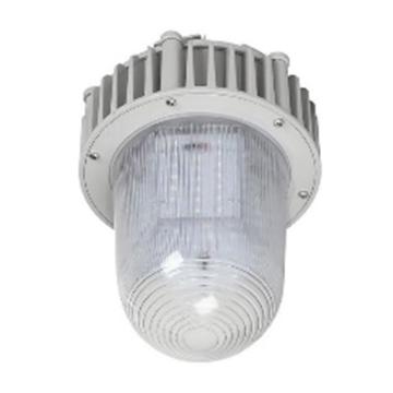 津达 LED免维护平台灯，高玻璃六面发光，KD-PBD0186，20W，单位：个