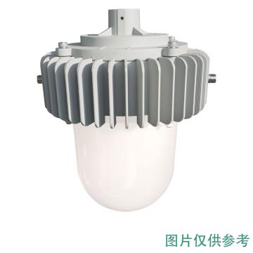 雷发照明 LED平台灯，50W，白光，LF-PT-50-06，90°配光，吊杆安装，不含吊杆，单位：个
