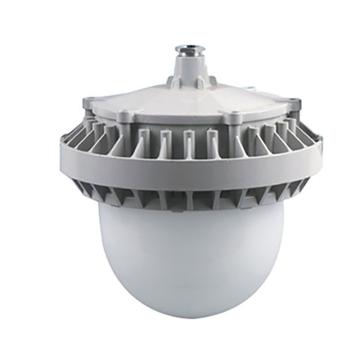 卓安照明 LED防眩平台灯，ZGD207，100W，支架式，单位：个