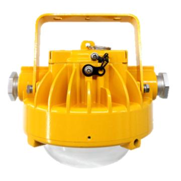 深圳海洋王 LED照明灯，DGS21/127L，(包安装），单位：个