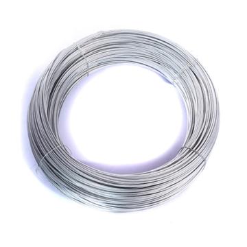 安赛瑞 22737 镀锌铁丝 建筑工地铁丝 防锈电镀铁丝 30号 Φ0.3mm×800m（2.5kg装）