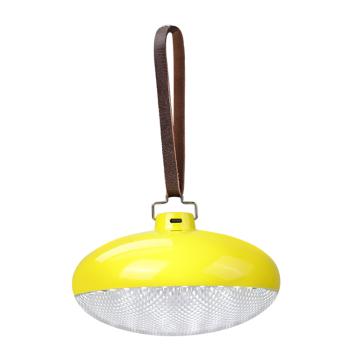 神火 LED巨蛋灯，FS20，50W，三色温可调，单位：个