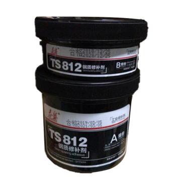 泰盛 钢质修补剂，TS812，500g/套