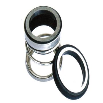 嘉善博密机械密封，108-22-Q2Q2VGG，碳化硅对碳化硅，氟胶+316弹簧