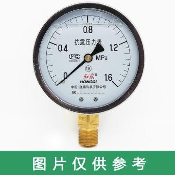 红旗 耐震压力表，YTN-100 碳钢＋铜 径向不带边 M20×1.5 0~0.6MPa