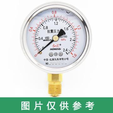 红旗 耐震压力表，YTN-60 碳钢＋铜 径向不带边 M14×1.5 0~10MPa