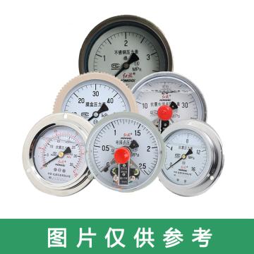 红旗 压力表，Y-100BF，0-1.6Mpa，径向，M20×1.5，材质sus316