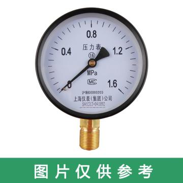 上仪 压力表Y-60，碳钢+铜，径向不带边，Φ60，0~16MPa，M14*1.5