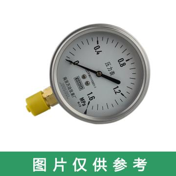 万达/WANDA 压力表YJ-F，不锈钢+铜，径向不带边Φ100，精度1.6级，0~2.5MPa，M20*1.5