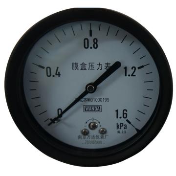万达/WANDA 膜盒压力表YJTE，碳钢+铜，轴向不带边Φ100，精度2.5级，0~1.6KPa，M20*1.5