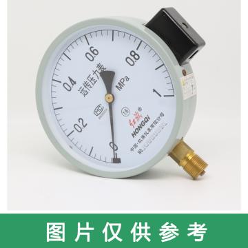 红旗 远传压力表，YTZ-150 0-1.6MPA M20×1.5 径向