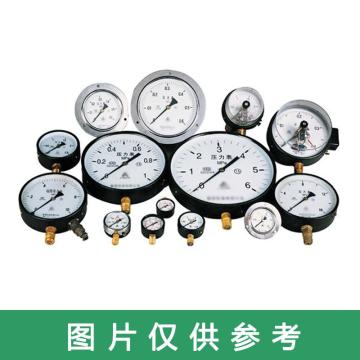 上海仪川仪表厂 隔膜压力表，YTP-100WSBF 0-1MpaSUS316直径50mm