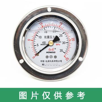 红旗 耐震压力表，YTN-60ZT 碳钢＋铜 轴向带边 M14×1.5 0~0.6MPa
