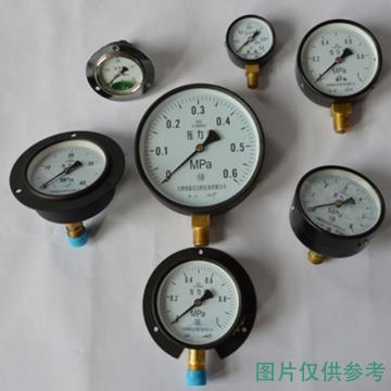 纽泰克 压力表，Y100*1Mpa，测量元件：铜，碳钢表壳，M20*1.5