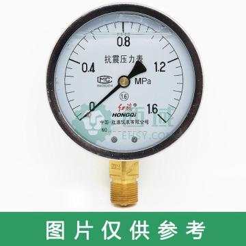 红旗 耐震压力表，YN63 0-1mpa M14*1.5 径向不带边