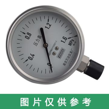 万达/WANDA 压力表YJTF，全不锈钢，径向不带边Φ100，精度1.6级，0~1.6MPa，NPT1/2