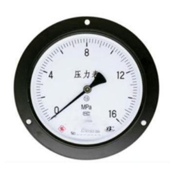 上仪 压力表Y-103，碳钢+铜，轴向前带边，Φ100，0~2.5MPa，M20*1.5