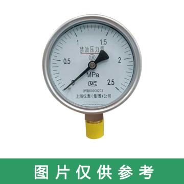 上仪 全不锈钢禁油压力表，YO-100B -0.1-0.3MPa M20*1.5 径向不带边