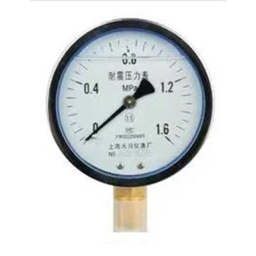 天川 普通不锈钢耐震压力表，Y100 0-1.6MPA M20*1.5 耐震 径向不带边 1.6级