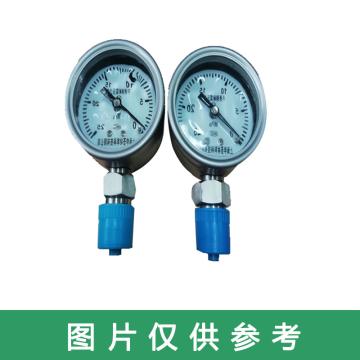 上海申荟 耐震压力表，YN100 0-40MPa