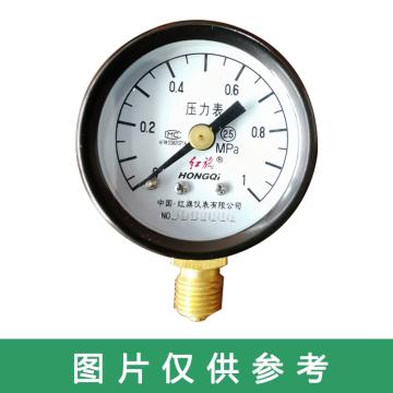 红旗 压力表，Y-50 碳钢＋铜 径向不带边 M14*1.5 0~0.1MPa