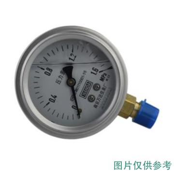 万达/WANDA 耐震压力表YJ-FN，不锈钢+铜，径向不带边Φ60，精度2.5级，0~6.0MPa，M14*1.5，充硅油