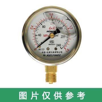 红旗 耐震压力表，YTN-50 碳钢＋铜 径向不带边 M14*1.5 0~25MPa