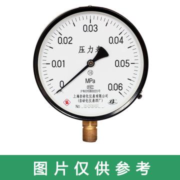 上自仪 普通压力表，Y-100/0-0.25MPa/G1/2/1.6级/铁+铜/径向不带边
