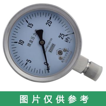 万达/WANDA 膜盒压力表YJTFE，全不锈钢，径向不带边Φ100，精度2.5级，-12~12KPa，G1/2