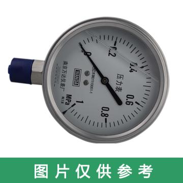 万达 耐震压力表，YJF-FN，不锈钢+不锈钢，径向不带边Φ60，精度2.5级，0~0.4MPa，NPT1/4，充甘油