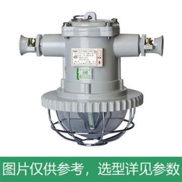 正安 LED巷道灯 DGS15/127L（A），煤安号MAH100146，单位：个