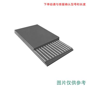 威普斯 输送带，B2200-ST2500（9+5）