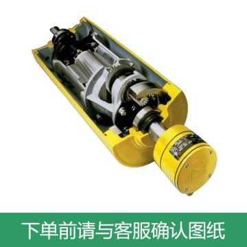 陆美嘉RULMECA 电动滚筒，D400200BR1-600_004525