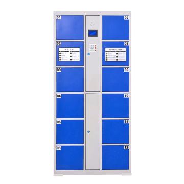 臻远 电子存包柜，智能储物柜商场寄存柜 12门微信扫码款，高1800*宽850*深460mm