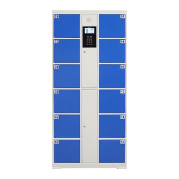 臻远 电子存包柜，智能储物柜商场寄存柜 12门自编码款，高1800*宽850*深460mm