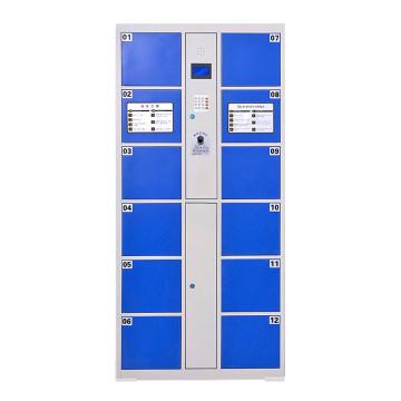臻远 电子存包柜，智能储物柜商场寄存柜 12门指纹款，高1800*宽850*深460mm