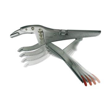 哈恩库博Hahn+Kolh 大力钳，250mm，4步调节，53419010