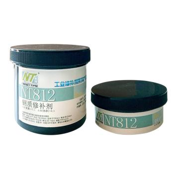 耐特 钢质修补剂，NT812，500g/套