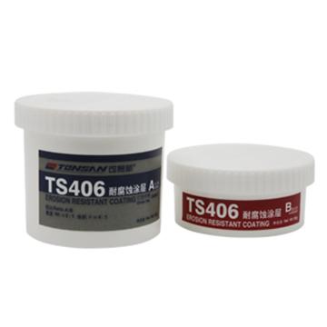 可赛新 耐腐蚀涂层，TS406，500g/套